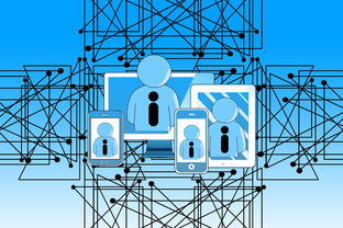 乐鱼官方登录入口-中国青少年篮球发展政策实施与推广策略，青少年篮球发展现状及对策研究