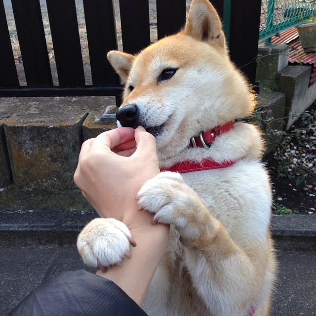 高校体育教师信息化教学能力提升策略研究,体育教师信息化2.0考核