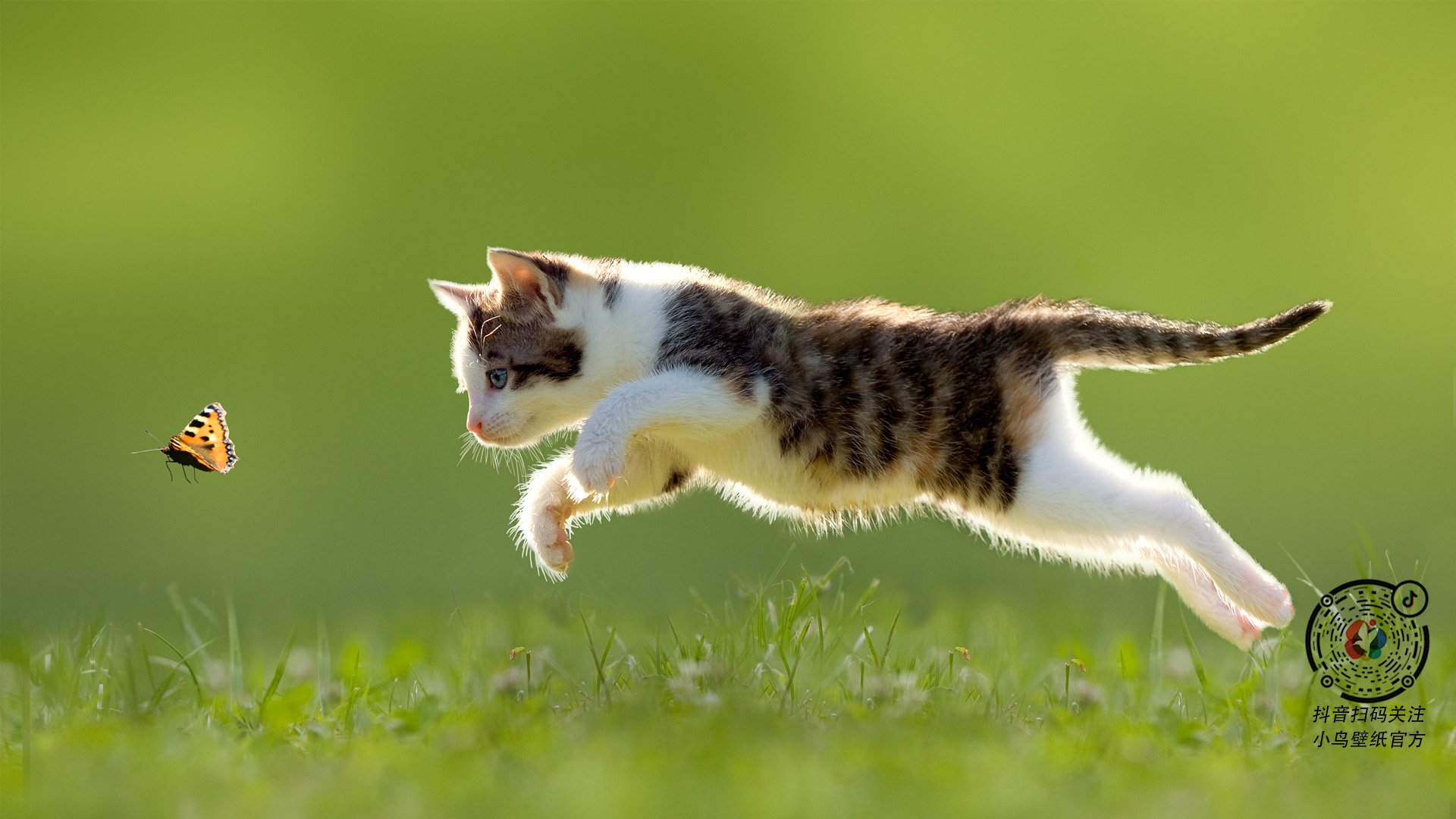 “汤姆·佩顿泳坛新星崛起,突破个人最佳纪录”