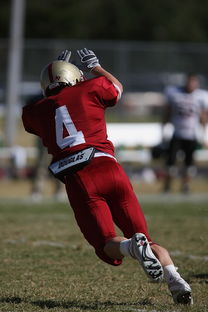 乐鱼体育APP官方下载-五大联赛争四阶段关键球员贡献值差异对比，五大联赛引援