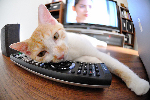 乐鱼娱乐app-快攻节奏的起点是否必须建立在篮板基础上，快攻要点