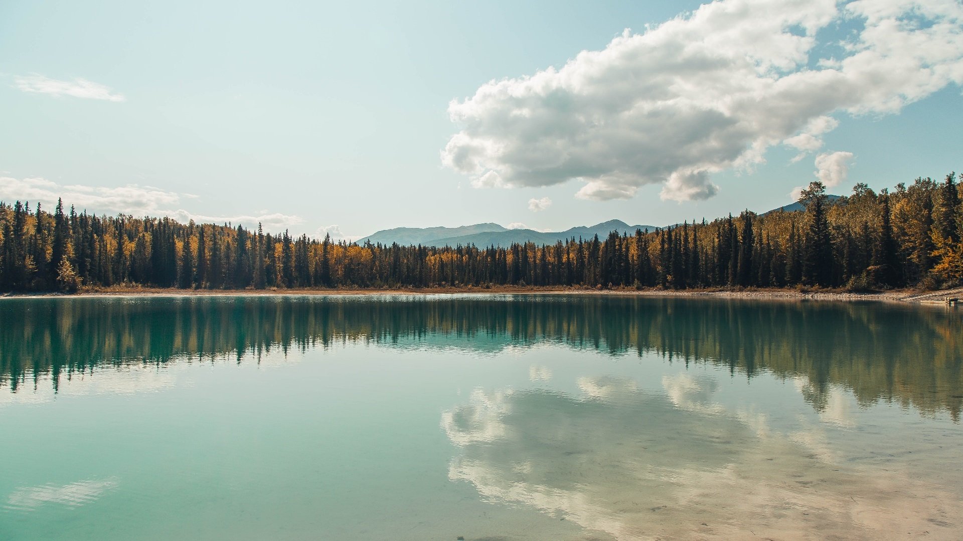 Leyu Sport下载-“马科斯·莫奇的高效防守和突进能力，成为阿根廷美洲狮队的新武器”