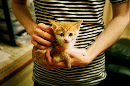 世界杯激烈抢分：每一场都令人心跳加速，世界杯激动人心时刻