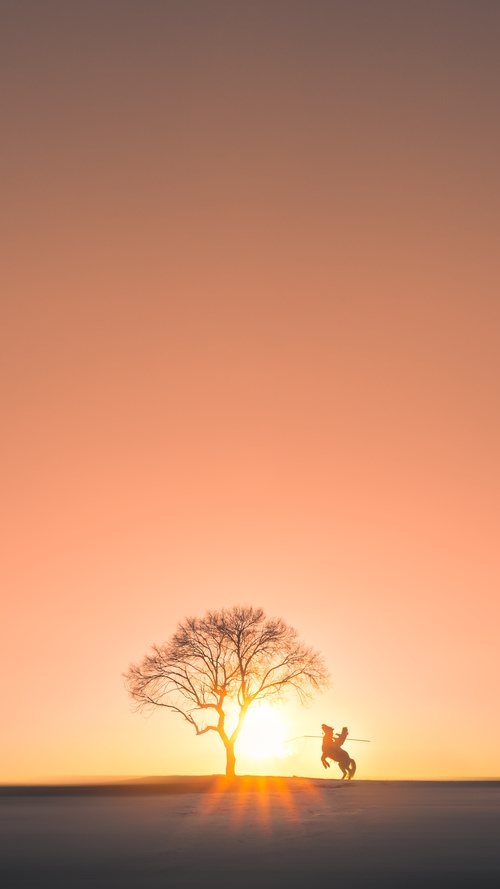 乌拉圭女篮在南美锦标赛中荣获佳绩,迈向国际舞台新高峰,乌拉圭美女球迷