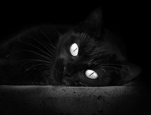 国足主帅试验新阵容效果不俗,国足对手主帅辞职