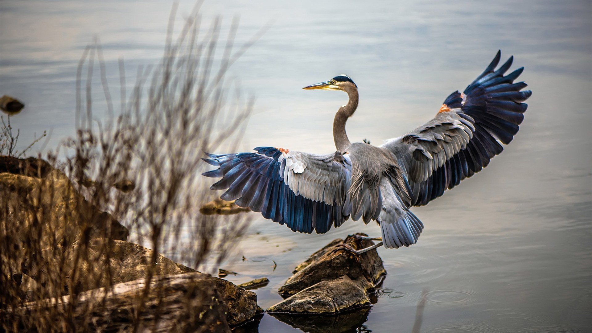 PSG管理层承诺加大投入优化阵容,psg人员组成
