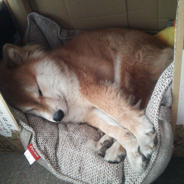 体育新闻中心建立全景数据监控平台,体育新闻摄影